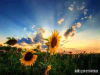 义乌市恬阔网络科技有限公司