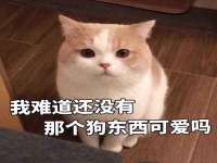 义乌市恬阔网络科技有限公司
