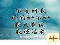 义乌市恬阔网络科技有限公司