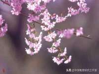 义乌市恬阔网络科技有限公司