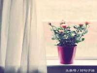 义乌市恬阔网络科技有限公司