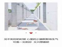 义乌市恬阔网络科技有限公司