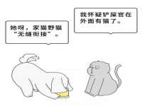 义乌市恬阔网络科技有限公司