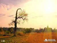 义乌市恬阔网络科技有限公司