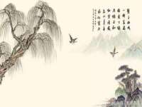 义乌市恬阔网络科技有限公司