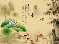 义乌市恬阔网络科技有限公司