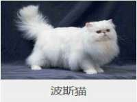 义乌市恬阔网络科技有限公司