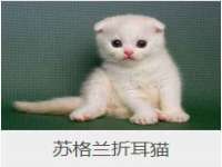 义乌市恬阔网络科技有限公司
