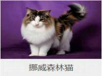 义乌市恬阔网络科技有限公司