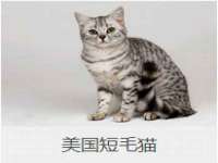 义乌市恬阔网络科技有限公司