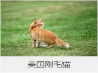 义乌市恬阔网络科技有限公司