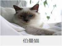 义乌市恬阔网络科技有限公司