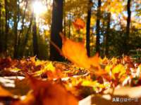 义乌市恬阔网络科技有限公司