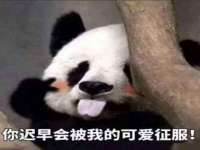 义乌市恬阔网络科技有限公司