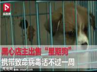 义乌市恬阔网络科技有限公司