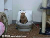 义乌市恬阔网络科技有限公司
