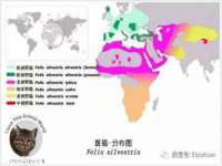 义乌市恬阔网络科技有限公司