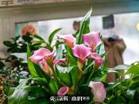 义乌市恬阔网络科技有限公司