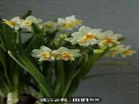 义乌市恬阔网络科技有限公司