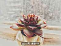 义乌市恬阔网络科技有限公司
