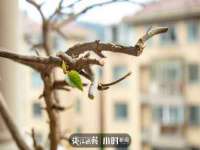 义乌市恬阔网络科技有限公司