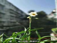 义乌市恬阔网络科技有限公司