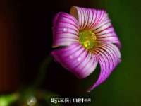义乌市恬阔网络科技有限公司