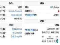 义乌市恬阔网络科技有限公司