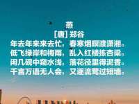 义乌市恬阔网络科技有限公司