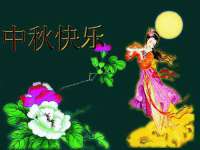 义乌市恬阔网络科技有限公司