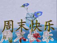 义乌市恬阔网络科技有限公司