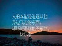 义乌市恬阔网络科技有限公司