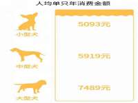 义乌市恬阔网络科技有限公司
