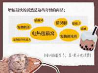 义乌市恬阔网络科技有限公司