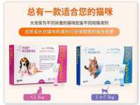 义乌市恬阔网络科技有限公司