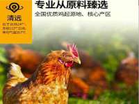义乌市恬阔网络科技有限公司