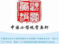 义乌市恬阔网络科技有限公司