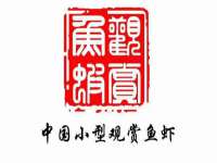 义乌市恬阔网络科技有限公司