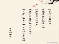 义乌市恬阔网络科技有限公司