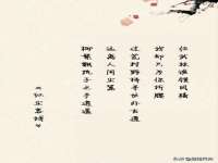 义乌市恬阔网络科技有限公司