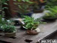 义乌市恬阔网络科技有限公司
