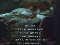 义乌市恬阔网络科技有限公司