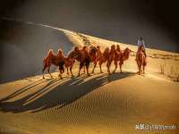义乌市恬阔网络科技有限公司