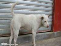 义乌市恬阔网络科技有限公司