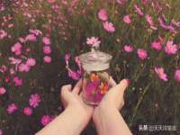 义乌市恬阔网络科技有限公司