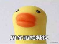 义乌市恬阔网络科技有限公司
