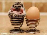 义乌市恬阔网络科技有限公司