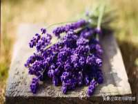 义乌市恬阔网络科技有限公司