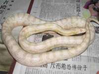 义乌市恬阔网络科技有限公司