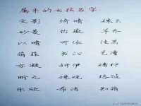 义乌市恬阔网络科技有限公司